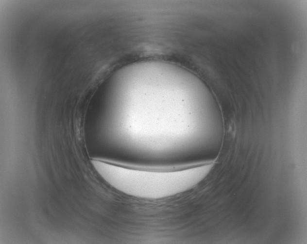X0000082981348200702011157