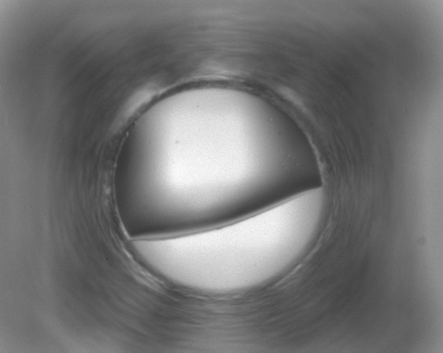 X0000082981355200702011157
