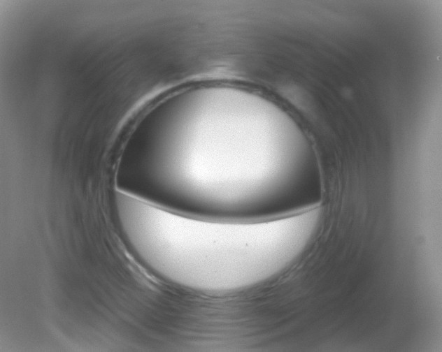 X0000082981356200702011157