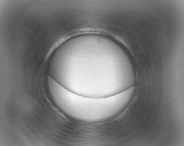 X0000082981357200702011157