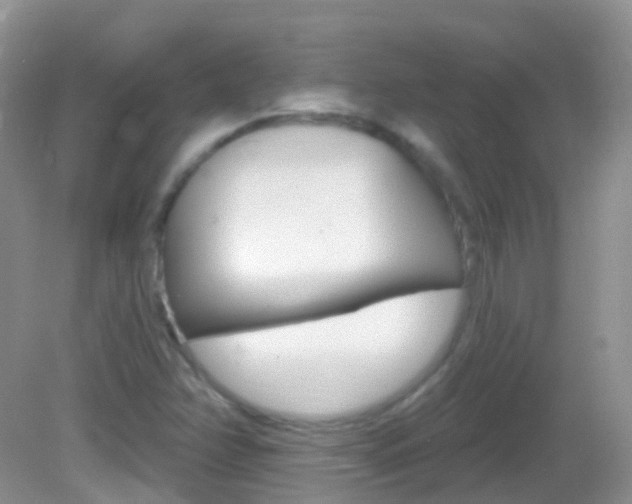 X0000082981358200702011157