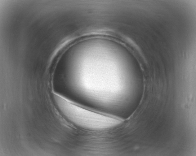 X0000082981360200702011157
