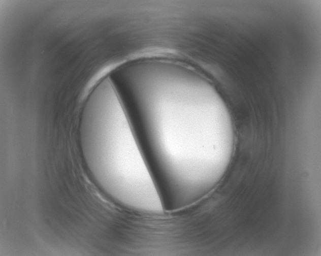 X0000082981363200702011157