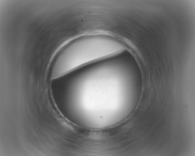 X0000082981364200702011157