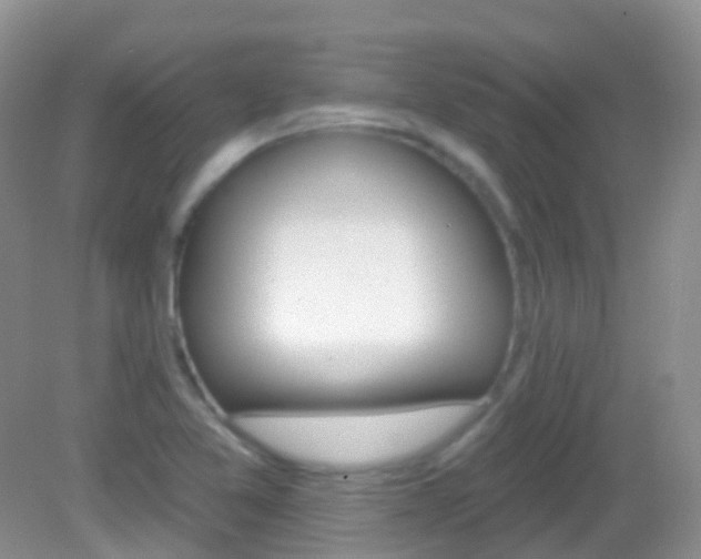 X0000082981365200702011157
