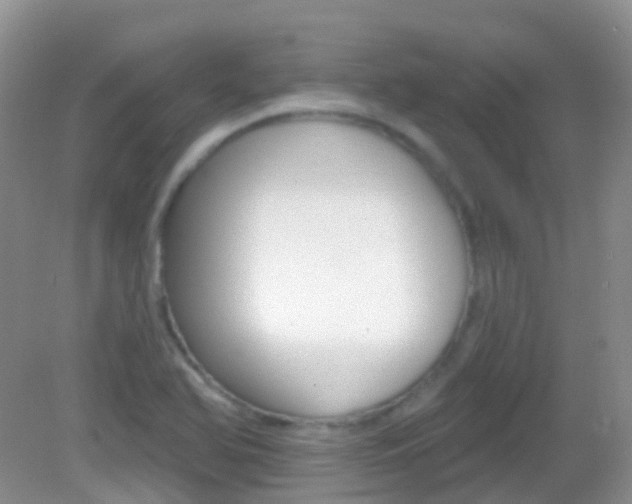 X0000082981366200702011157