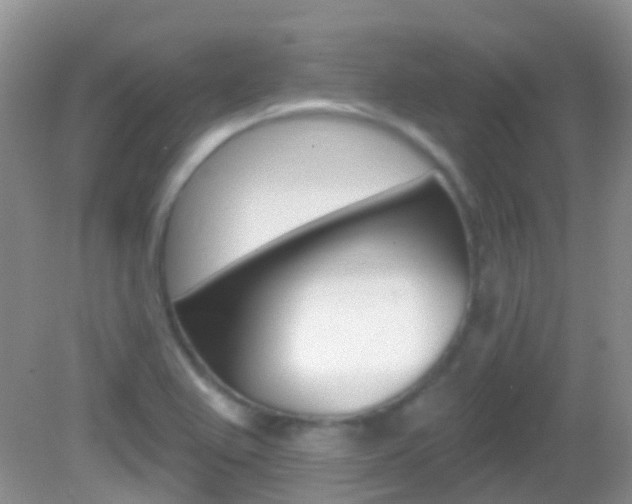 X0000082981367200702011157