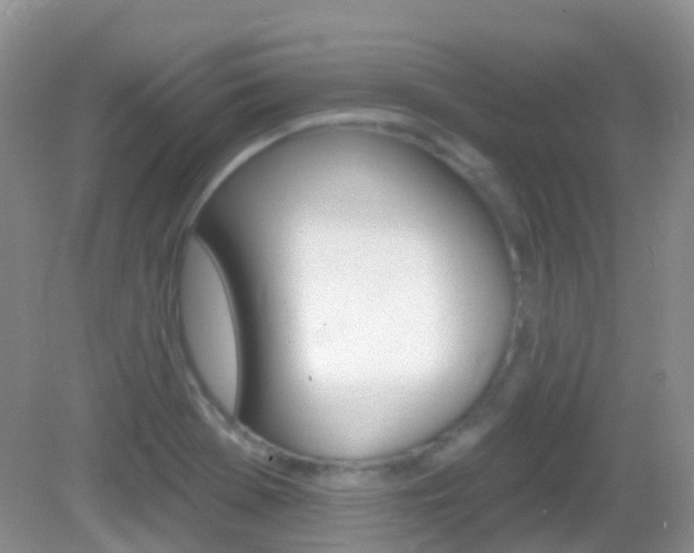 X0000082981369200702011157