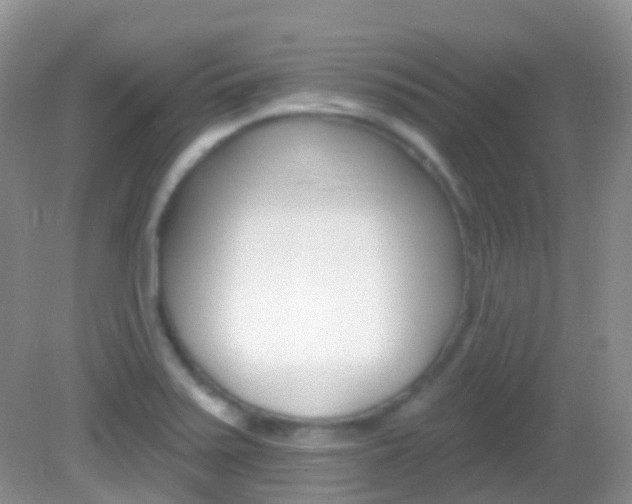 X0000082981371200702011157
