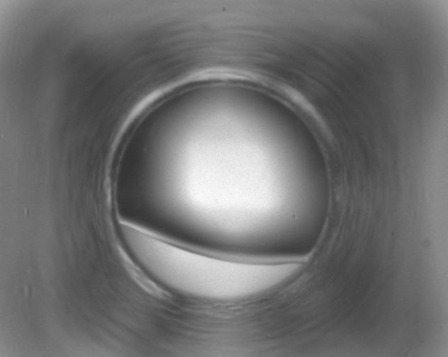 X0000082981372200702011157