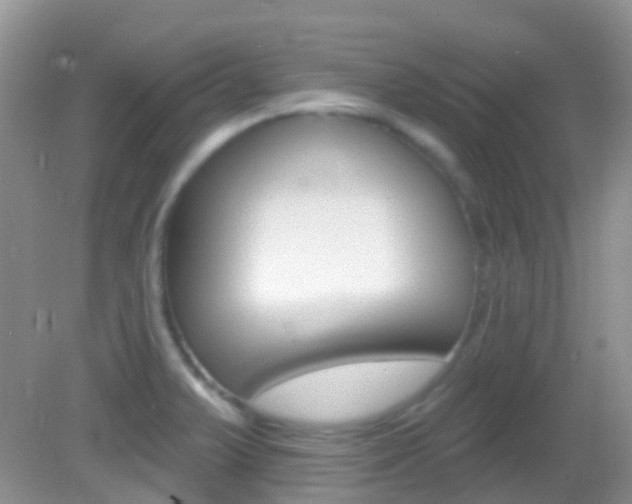 X0000082981375200702011157