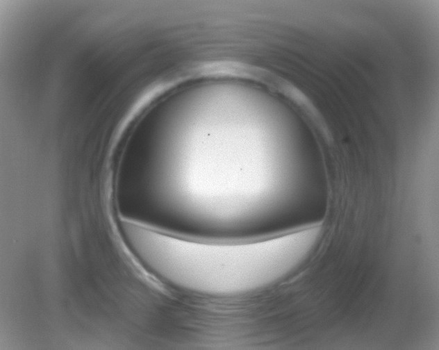 X0000082981376200702011157
