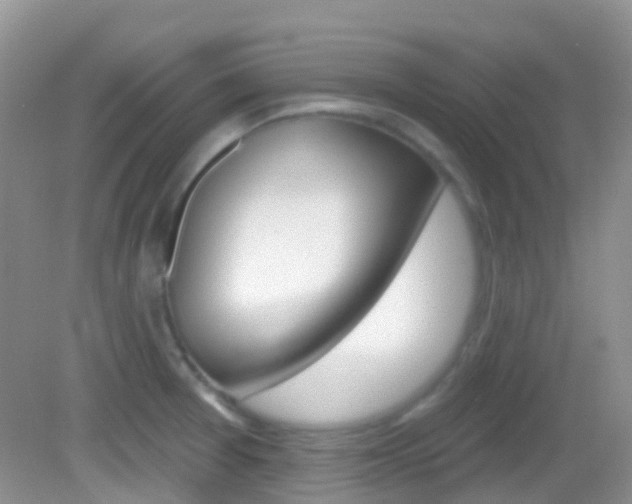 X0000082981377200702011157