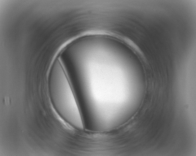 X0000082981380200702011157