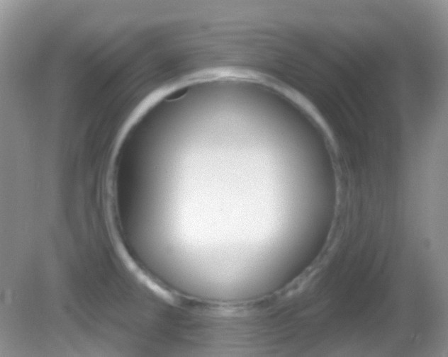 X0000082981381200702011157