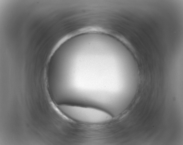 X0000082981382200702011157
