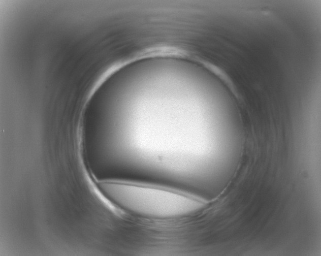 X0000082981383200702011157