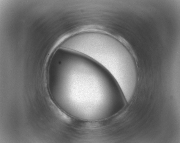 X0000082981384200702011157