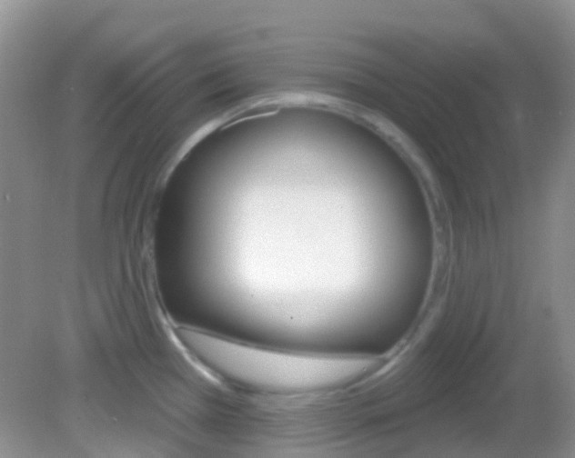 X0000082981385200702011157