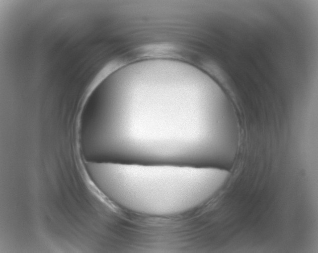 X0000082981386200702011157