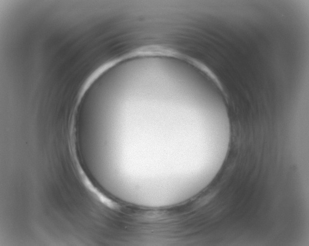 X0000082981387200702011157