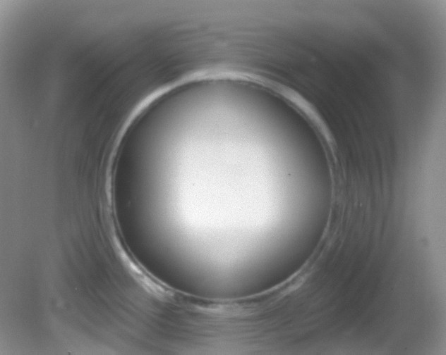 X0000082981388200702011157