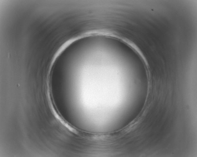 X0000082981389200702011157