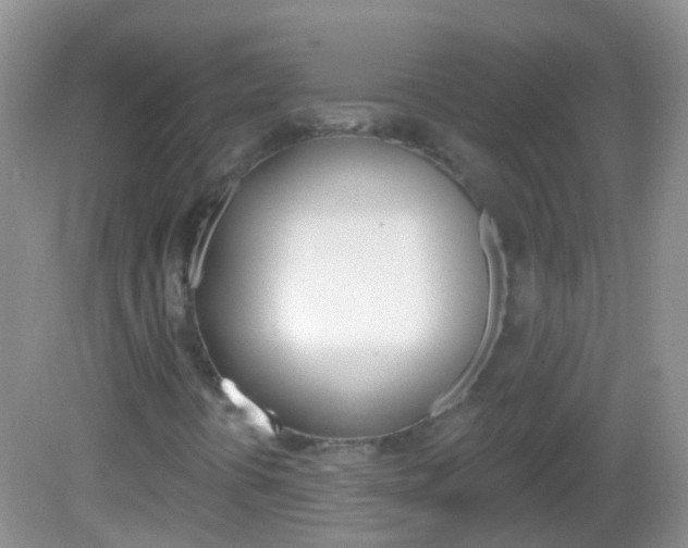 X0000082981394200702011156