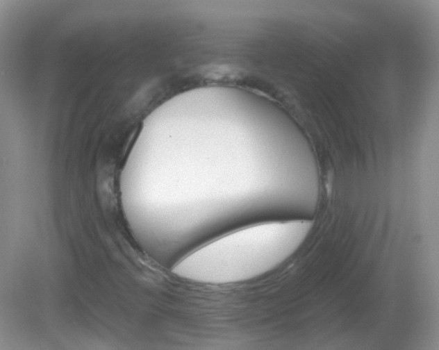 X0000082981396200702011156