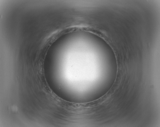 X0000082981398200702011156