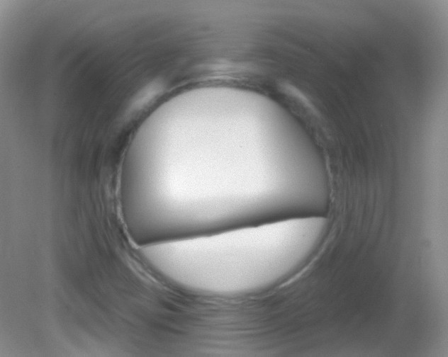 X0000082981403200702011156