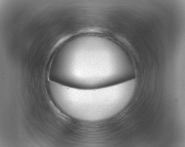 X0000082981404200702011156