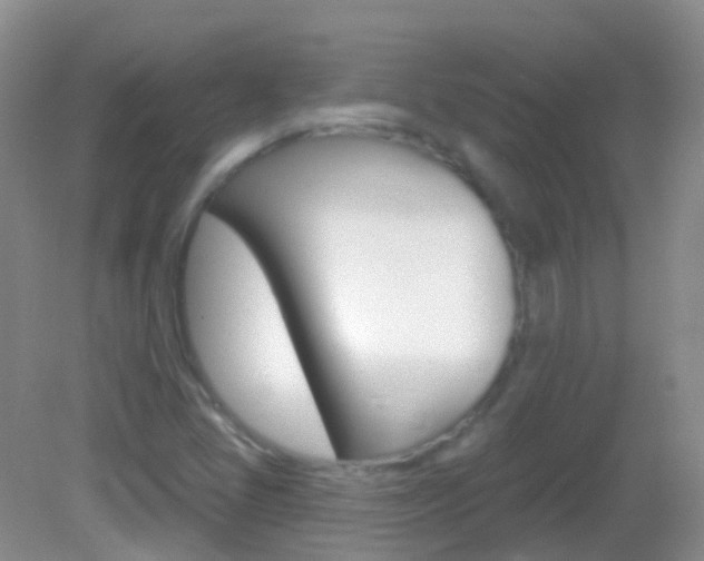 X0000082981405200702011156