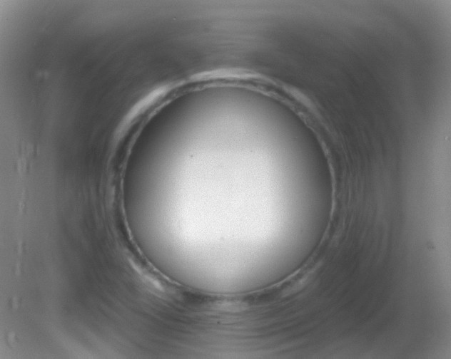 X0000082981406200702011156