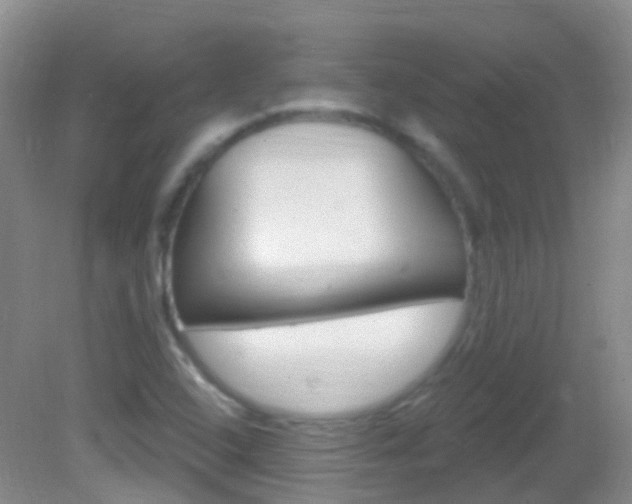 X0000082981408200702011156