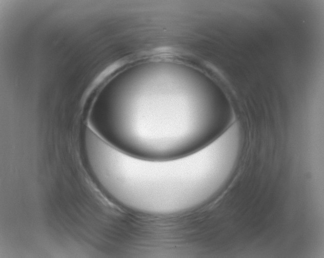 X0000082981410200702011156