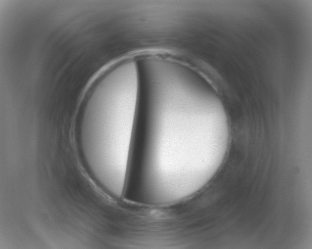X0000082981412200702011156