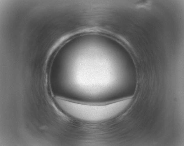 X0000082981414200702011156