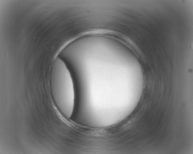 X0000082981417200702011156