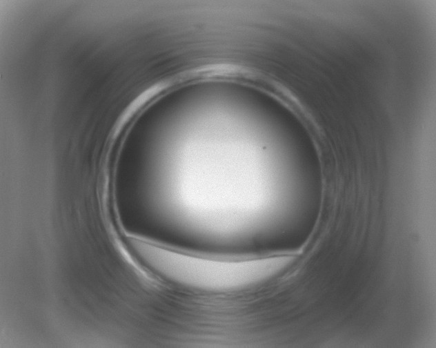 X0000082981418200702011156
