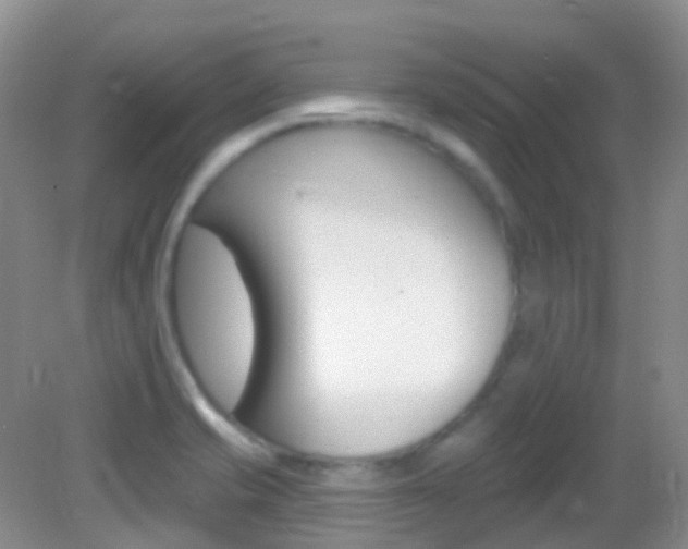 X0000082981421200702011156