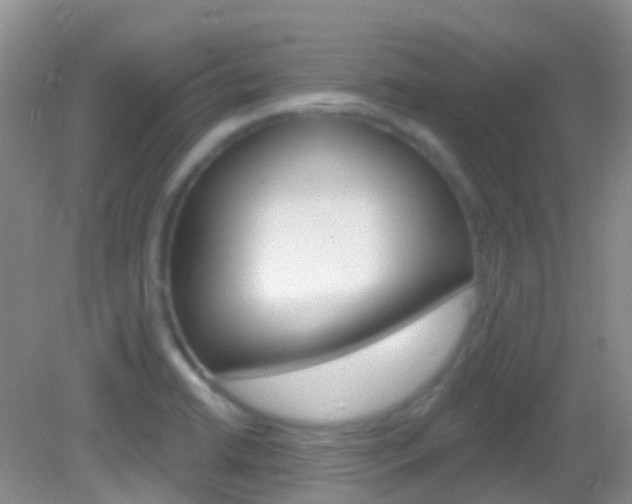 X0000082981422200702011156