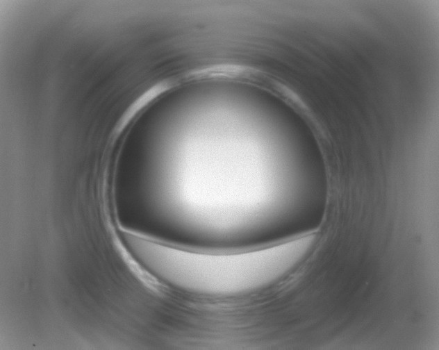 X0000082981426200702011156