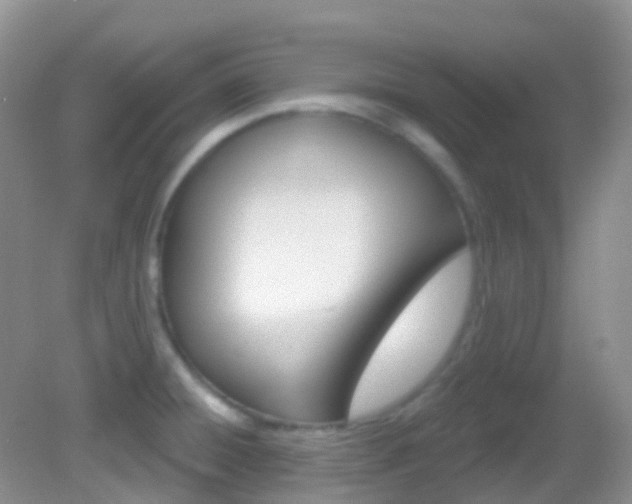 X0000082981428200702011156