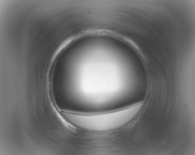 X0000082981430200702011157