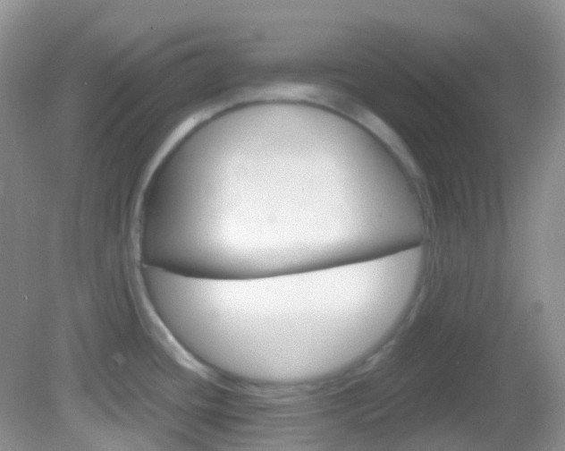 X0000082981436200702011157