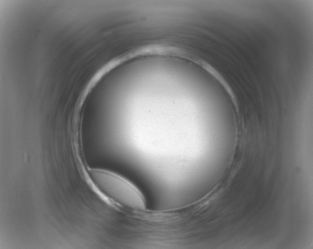 X0000082981437200702011157