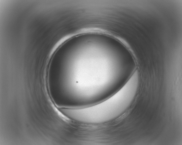 X0000082981438200702011157