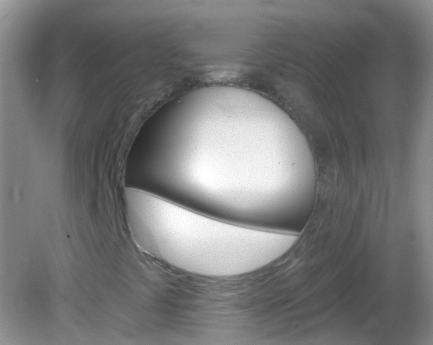 X0000082981441200702011156