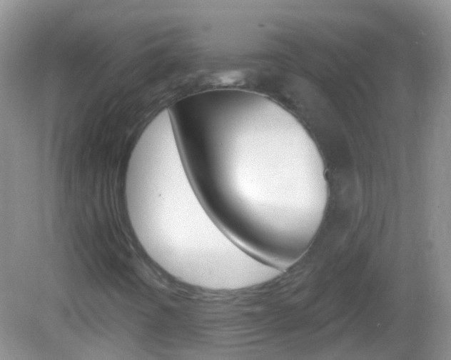 X0000082981442200702011156